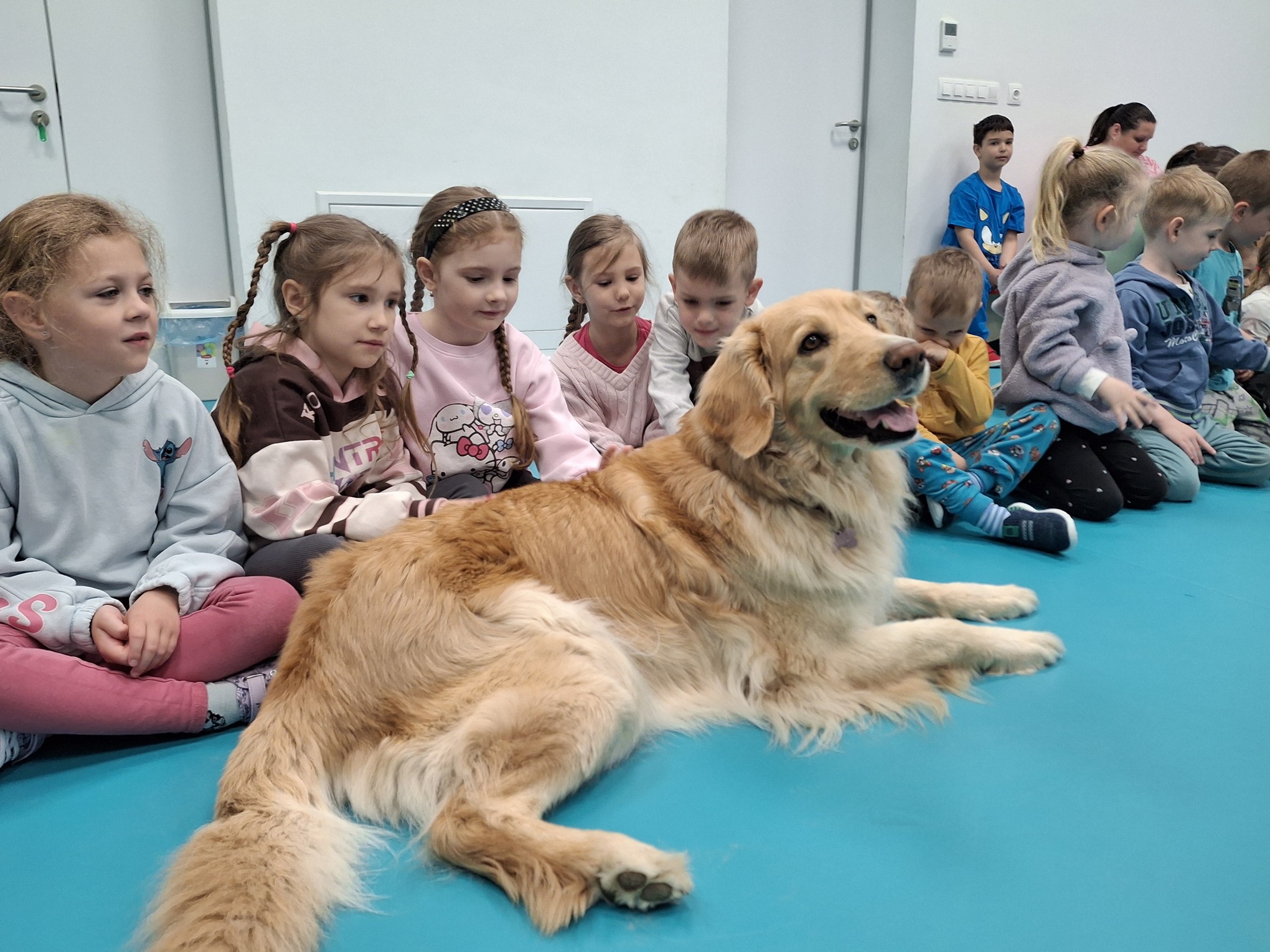 Duna Dog Center kutyabemutató az óvodában is